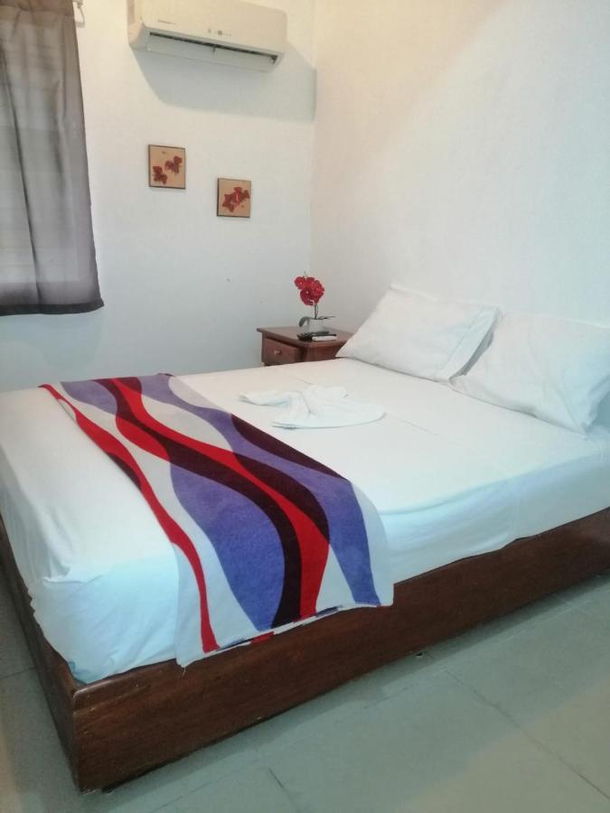 سانتو دومينجو Caribbean Queen Hotel المظهر الخارجي الصورة